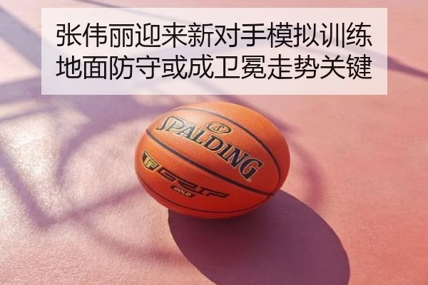 张伟丽迎来新对手模拟训练 地面防守或成卫冕走势关键