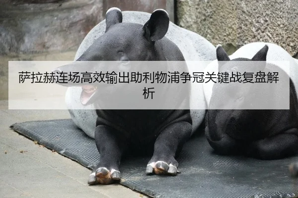 萨拉赫连场高效输出助利物浦争冠关键战复盘解析